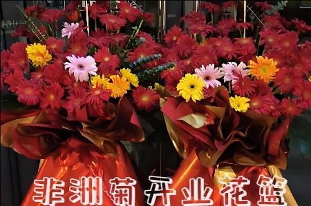 保定开业花篮